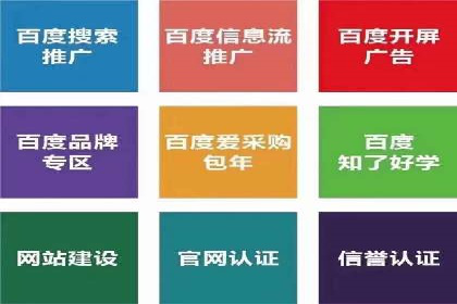 百度竞价排名服务助力：某品牌迅速占领市场